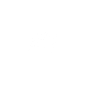 MISC