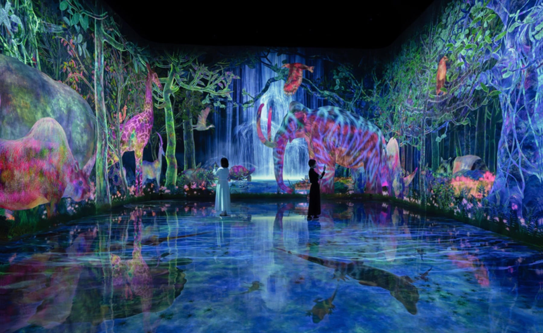An immersive projection-mapped forest room